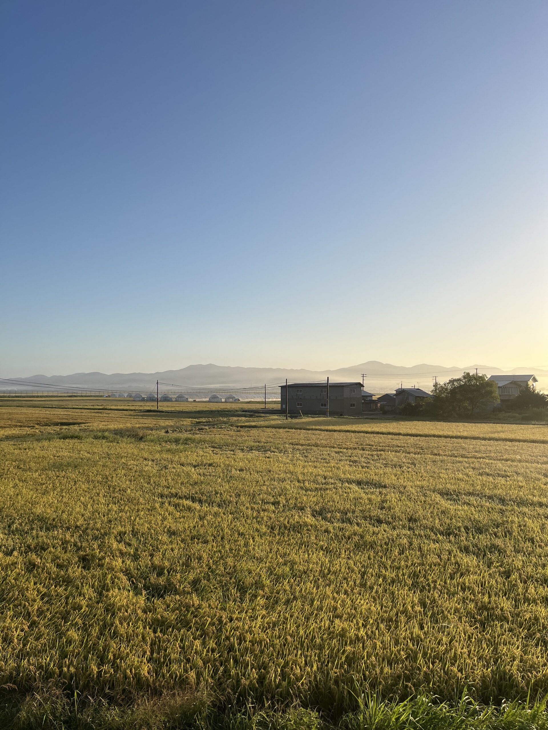 令和7年の稲刈りを終えて